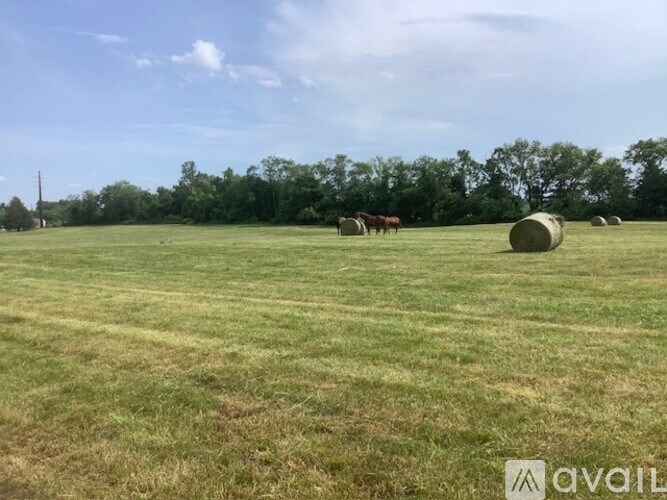 A field with hay bales and horses.