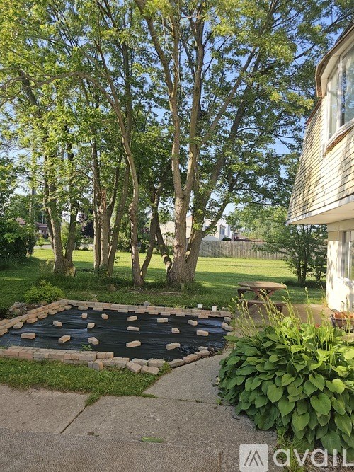 A backyard with a small pond and a large tree.