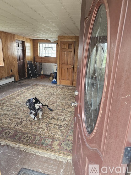 A dog is sitting on a rug in a room with wooden walls.