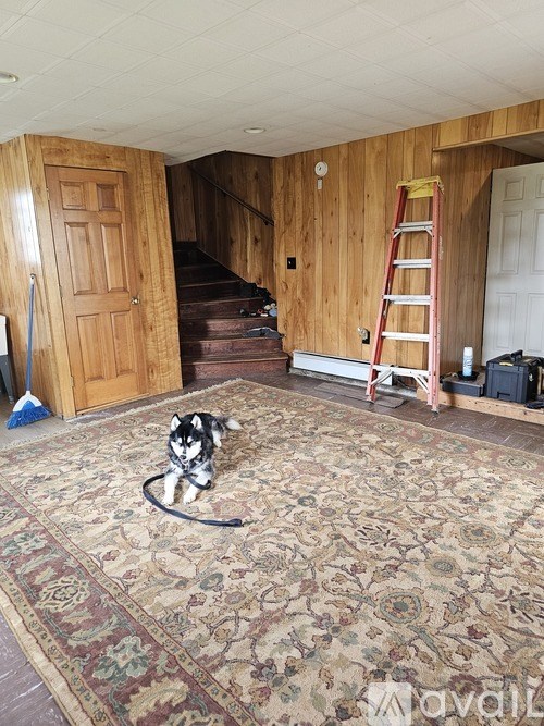 A dog is playing with a rope in a room with wooden walls.