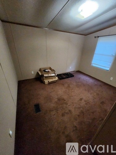 A room with a brown carpet and a cardboard box on it.