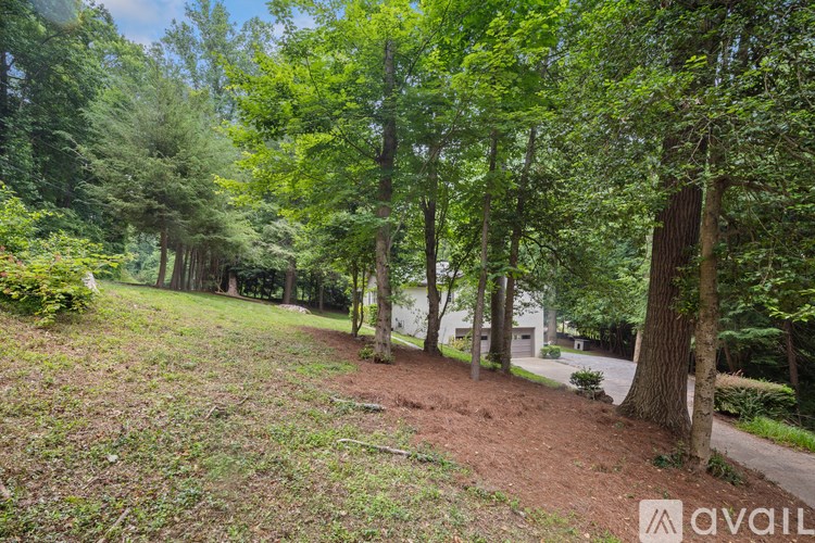 A lush green forest with a path leading to a building.