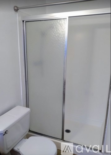 A white toilet sits next to a glass shower door.