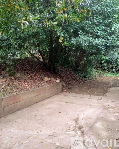 A garden with a tree and a wall.