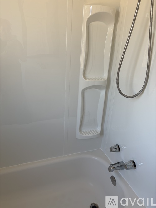 A bathroom with a shower curtain and a shelf with various toiletries.