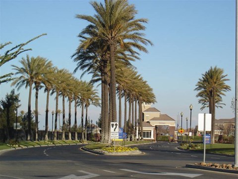 a street with palm trees on the side of it