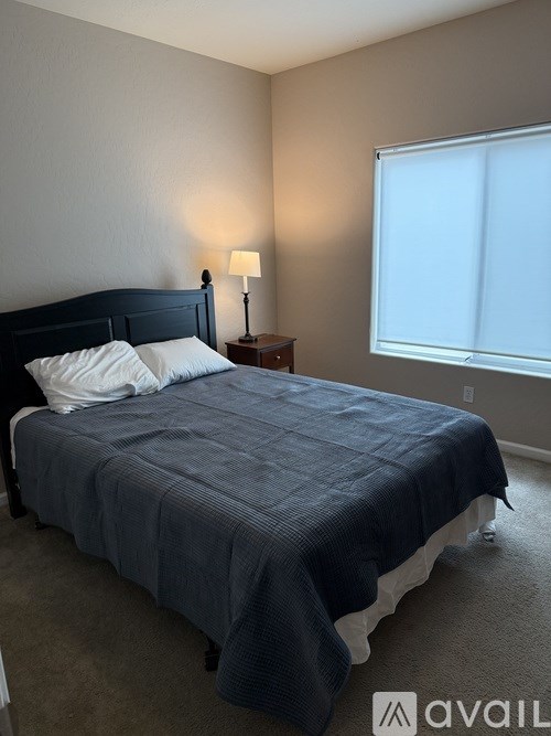 A bed with a dark blue comforter and white pillows is in a room with a lamp on a side table.