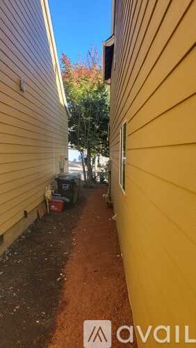 A narrow alley between two houses with a dirt path.