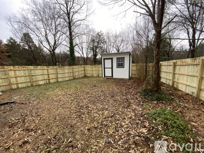 A backyard with a shed and a fence.