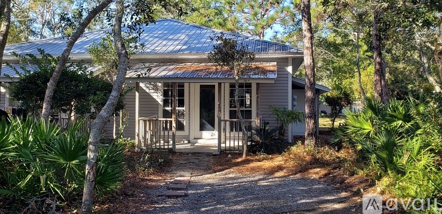 A house with a metal roof is surrounded by trees and plants.