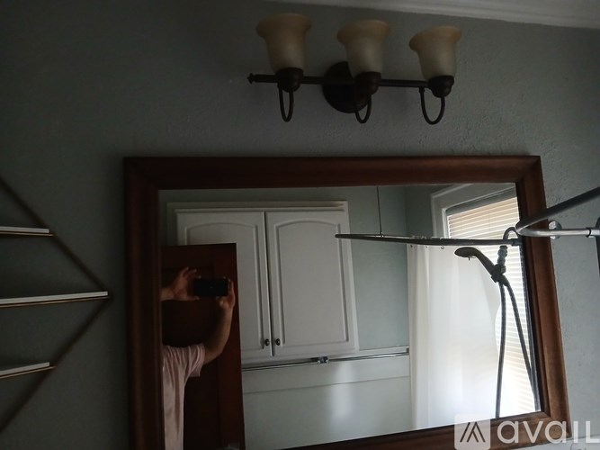 A backyard with a house, lawn, and trees.