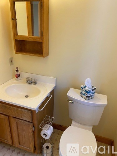 A white toilet with a tissue box on top of it.