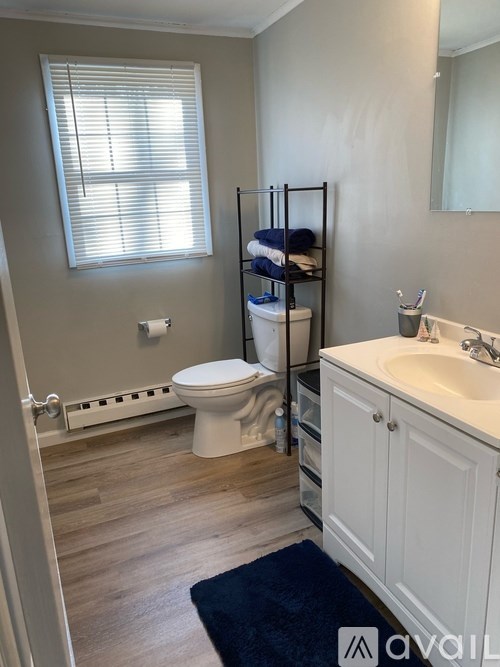 A bathroom with a toilet, sink, and a window.