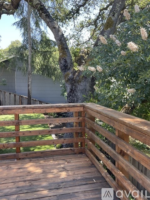 A wooden deck with a tree in the background.