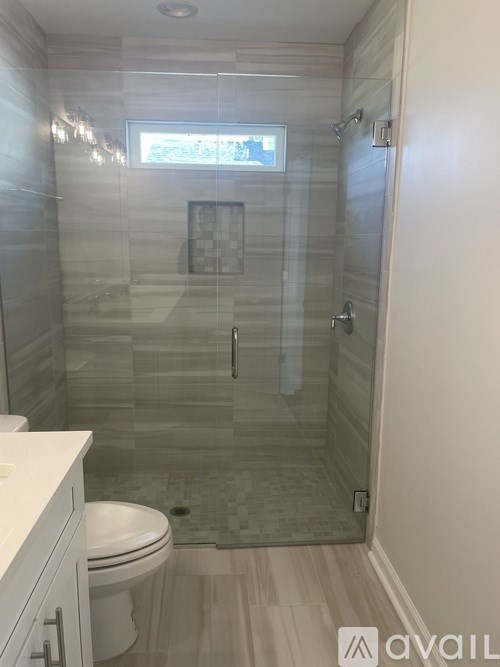 A bathroom with a toilet, a walk-in shower, and a window.