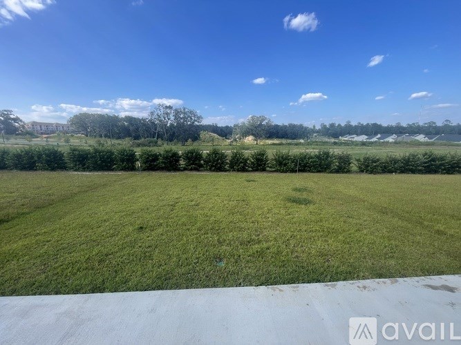 A grassy field with trees in the distance under a blue sky.