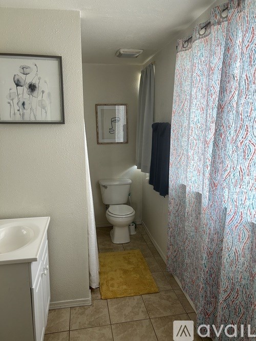 A bathroom with a toilet, sink, and shower curtain.