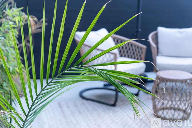 A palm leaf is in the foreground of a white chair and a wicker basket.