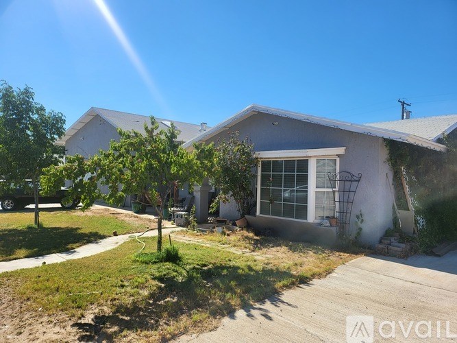 A house with a driveway and a tree in front of it.
