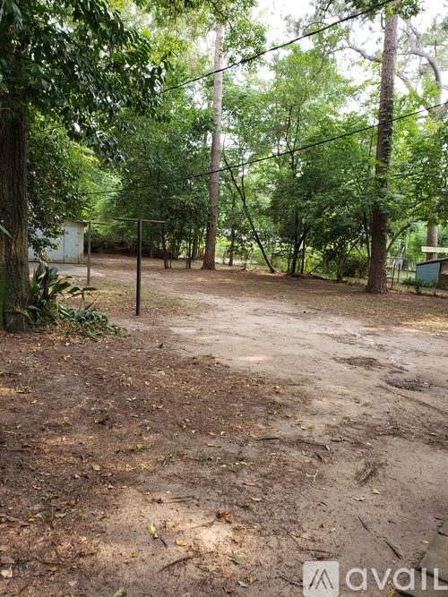 A dirt area with trees and a fence in the background.