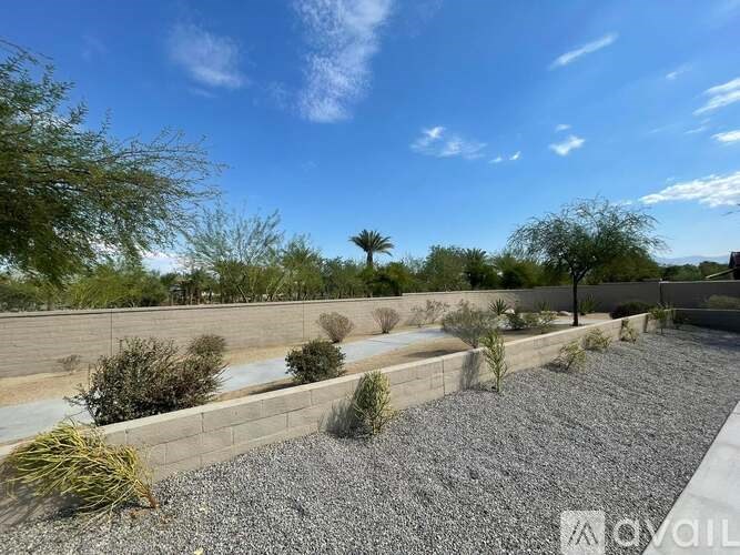 A garden with gravel and a wall with plants growing on it.