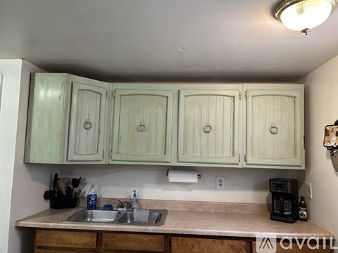 A kitchen with green cabinets and a sink.