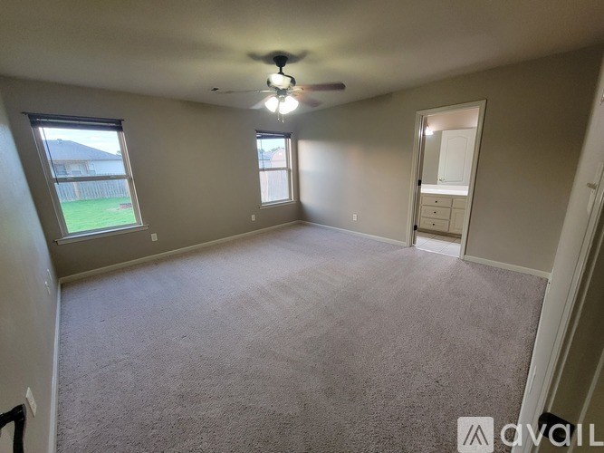 A room with a carpet floor, a ceiling fan, and a door leading to another room.