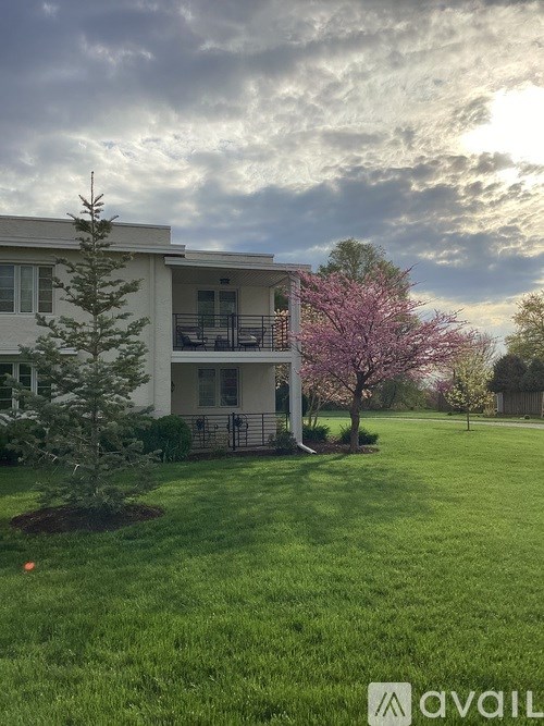 A tree with pink flowers is in front of a white building.