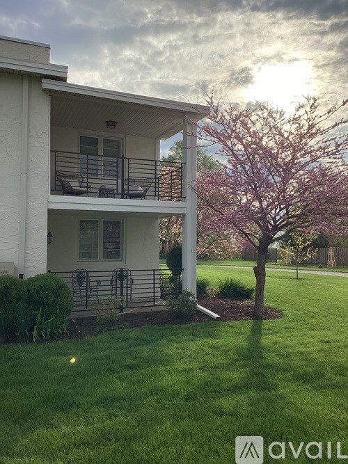 A tree with pink flowers is in front of a white building with a balcony.