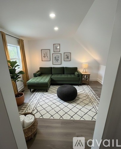 A living room with a green couch and a patterned rug.