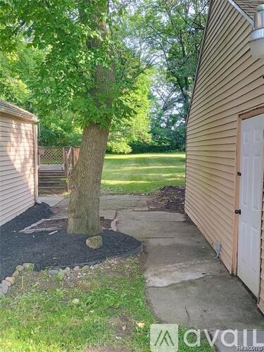 A tree in a mulched area between a house and a sidewalk.