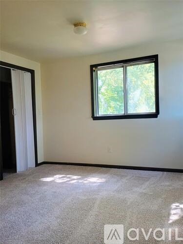 A room with a window and a carpet on the floor.
