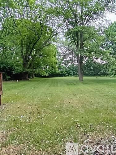 A grassy field with trees in the background.