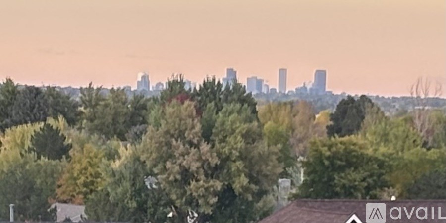 A city skyline is visible through a dense collection of trees.
