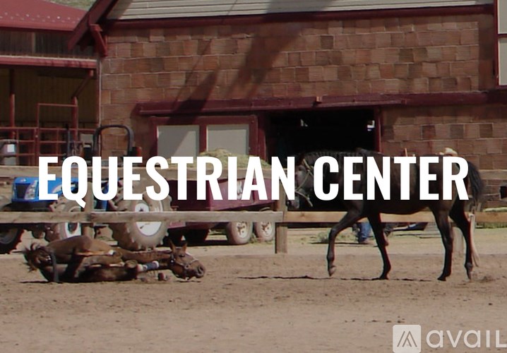 A horse is standing in front of a building with the words EQUESTRIAN CENTER.