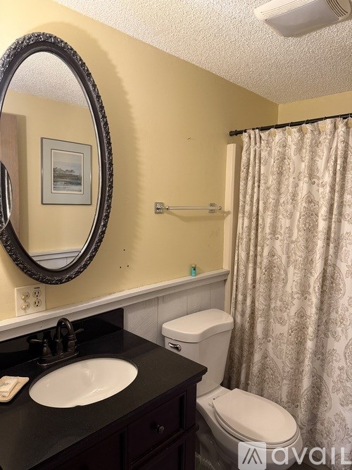 A bathroom with a sink, toilet, and shower curtain.
