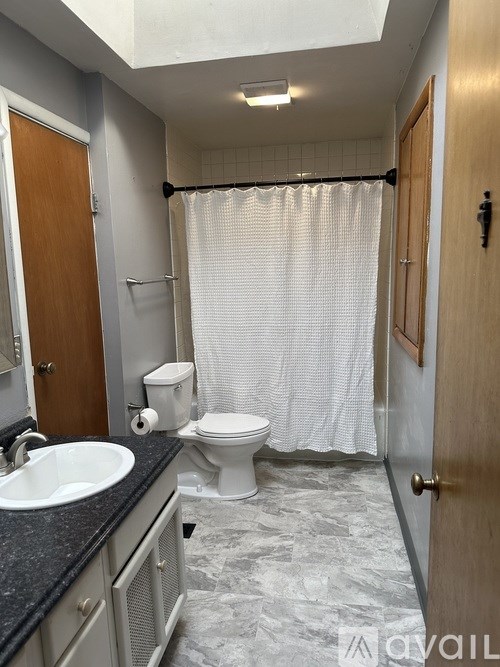 A bathroom with a toilet, sink, and shower curtain.