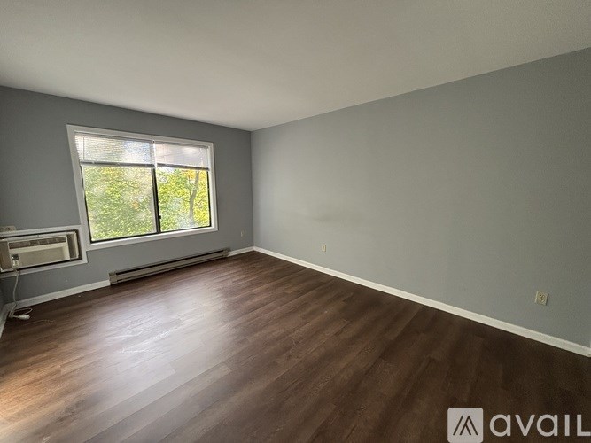 A room with wooden flooring and a window showing greenery outside.