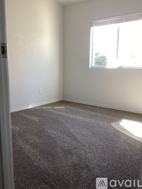 A room with a carpeted floor and a window letting in sunlight.