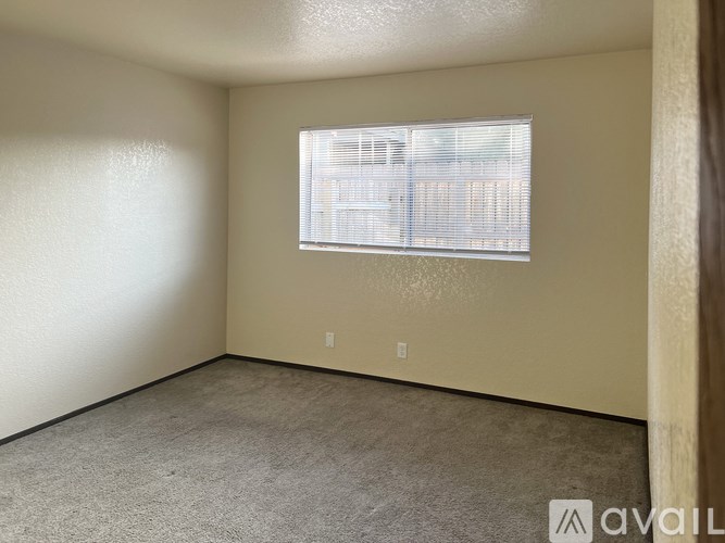 A room with a window and a carpeted floor.