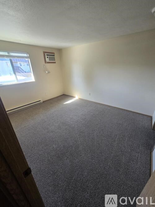 A room with a carpeted floor and a window.