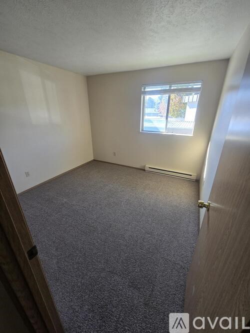 A room with a carpeted floor and a window.