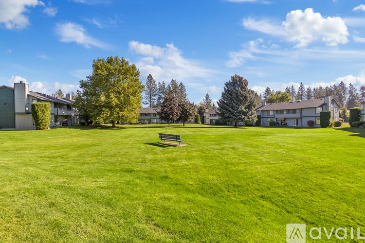 A grassy field with a bench and trees in the background.