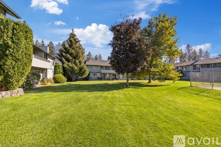 A large, well-maintained lawn in front of a row of houses.