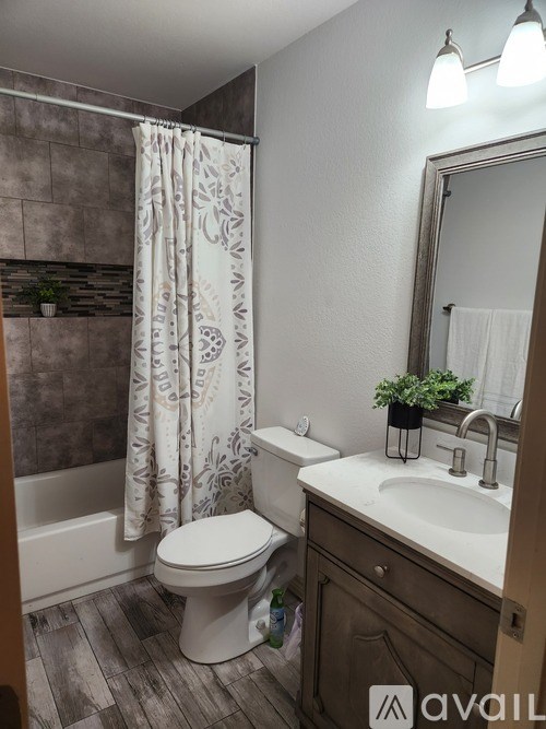 A bathroom with a toilet, sink, and shower curtain.