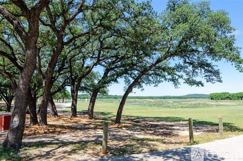 A row of trees in a field with a clear blue sky.
