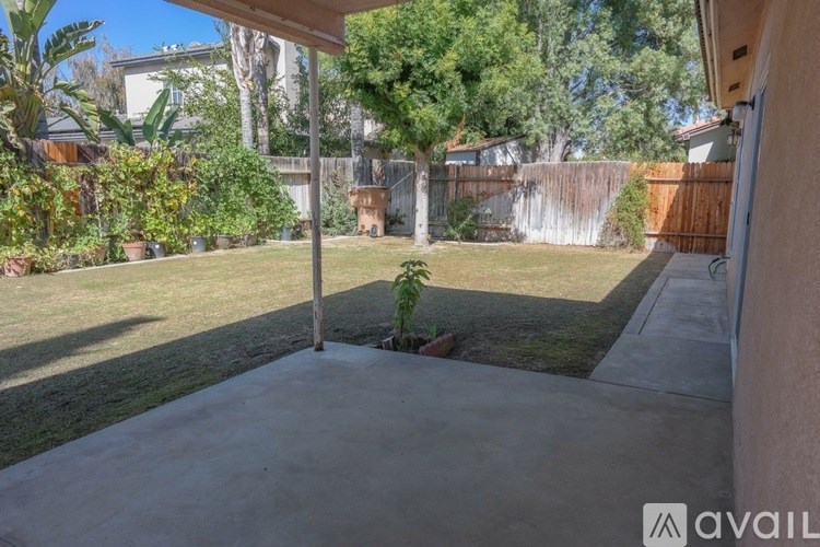 A backyard with a concrete patio and a tree.