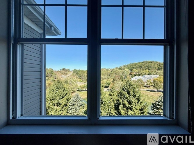 A window with a view of a forest and a clear blue sky.
