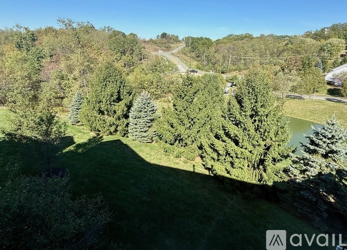 A beautiful aerial view of a lush green forest with a winding road.