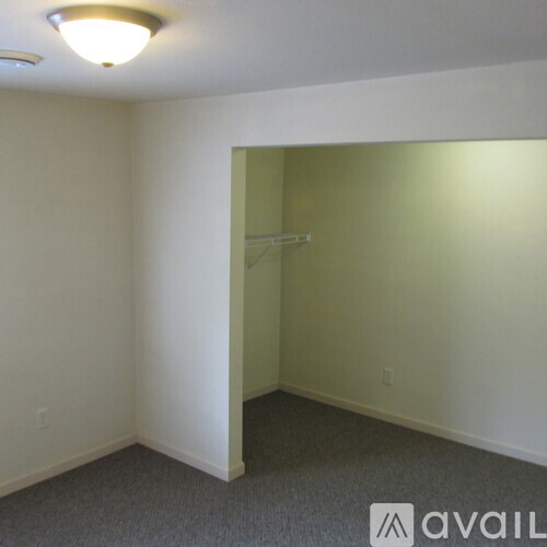 A room with a carpeted floor and a doorway leading to another room.